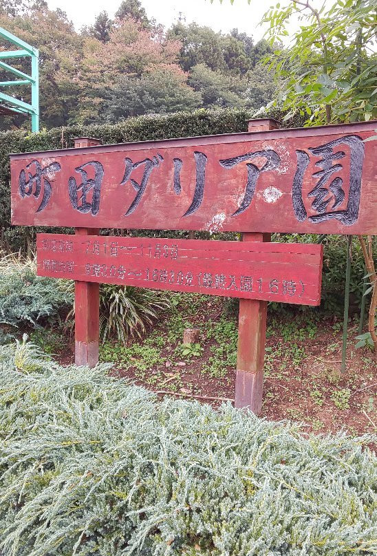 Machida Dahlia Gardens景点图片