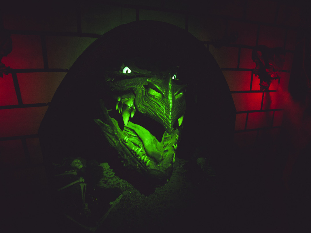 The Haunted Castle and Black Forest-韦恩堡必去景点