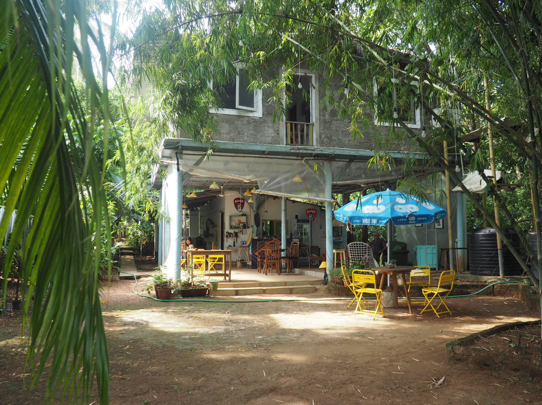 Nagoa餐馆和美食-The Village Studio