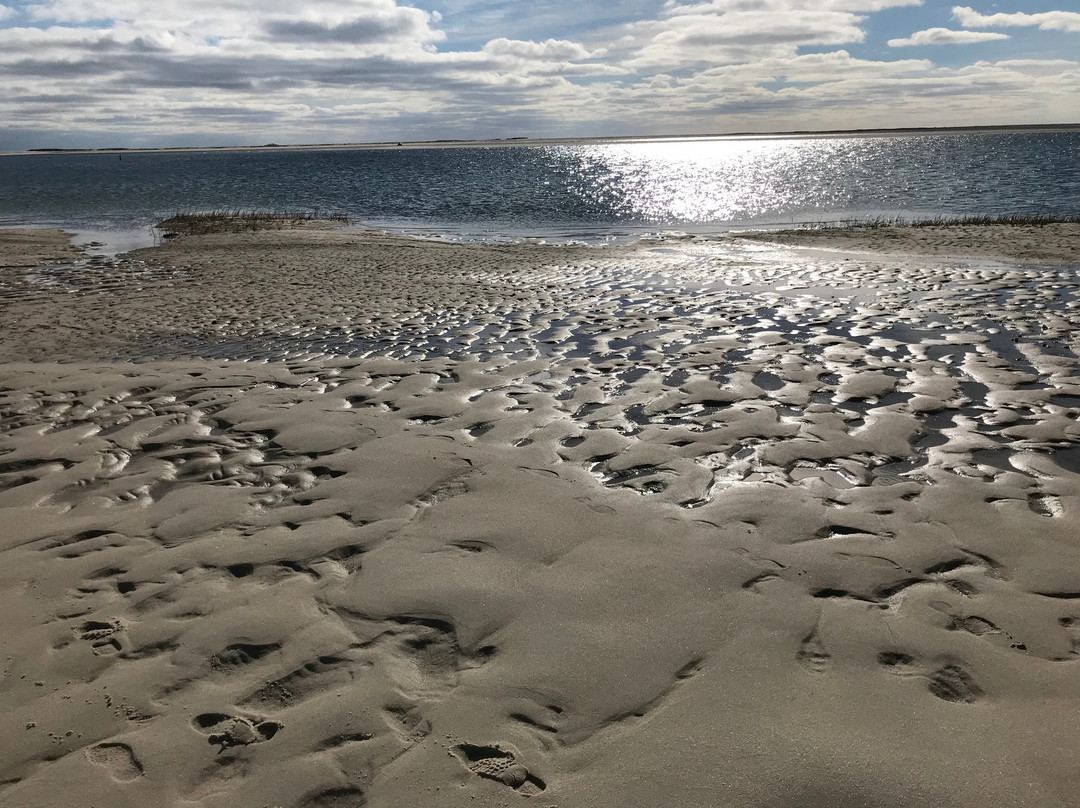 Monomoy National Wildlife Refuge景点图片