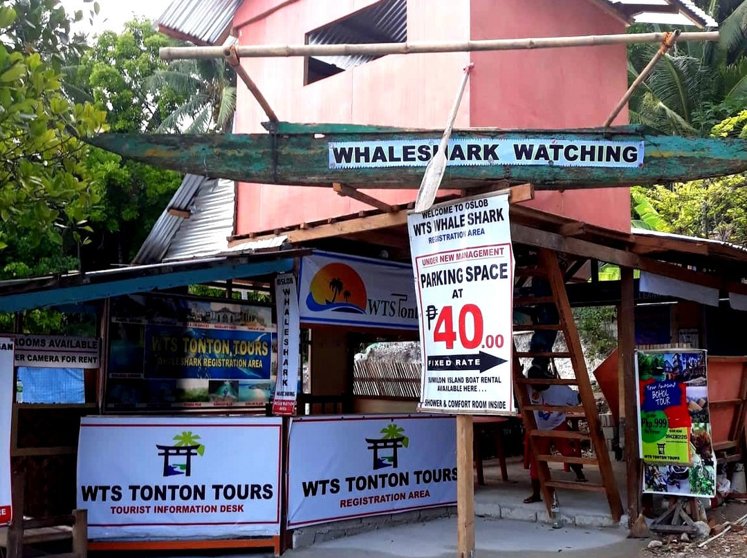 Oslob Whalesharks-奥斯洛布必去景点