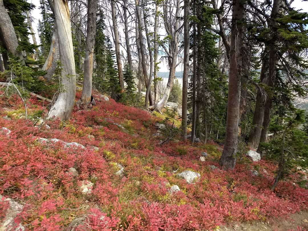 Amphitheater Lake-大提顿国家公园必去景点