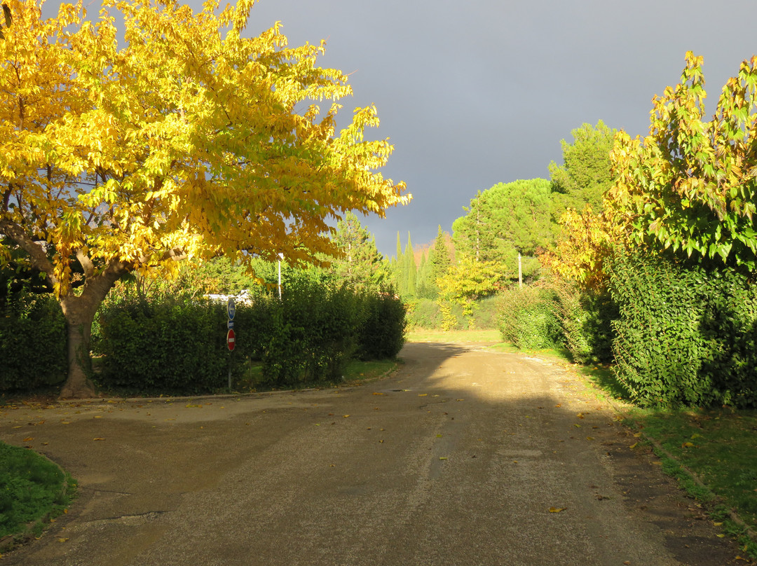 Camping les Romarins