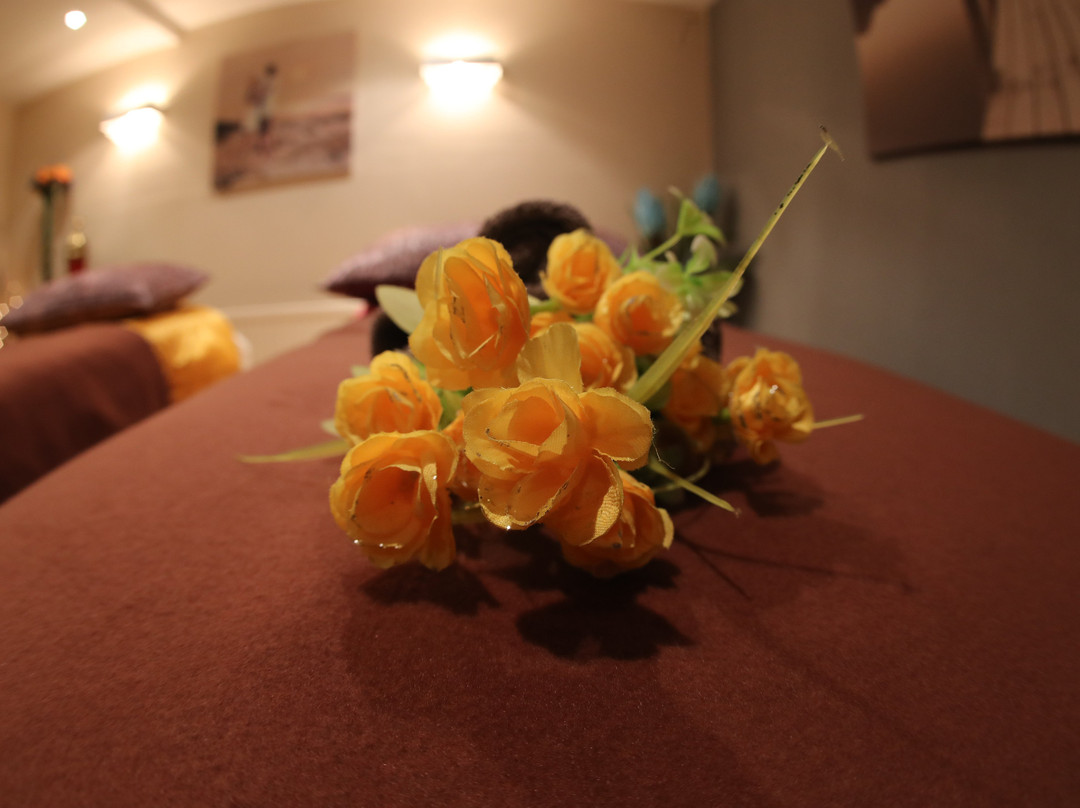 Mermaid Island Therapy & Spa-布莱顿必去景点