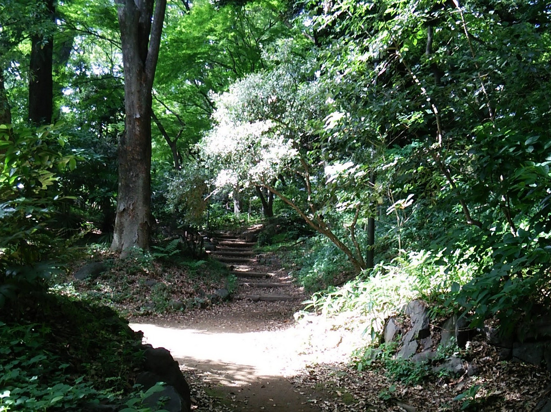 Shimizudani Park景点图片