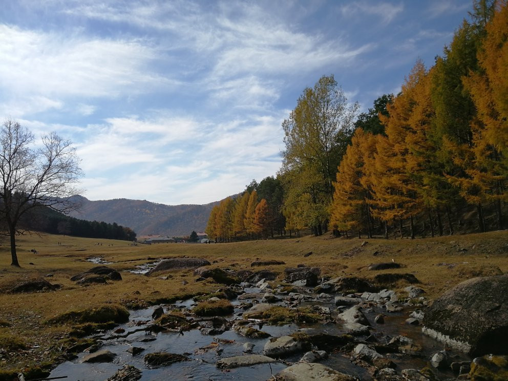 金山鹿苑-伊春市必去景点