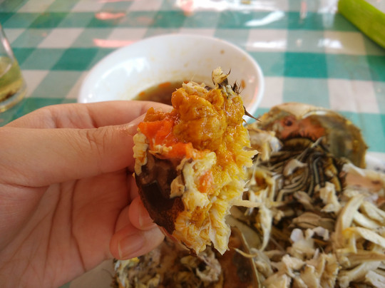 莲花岛-苏州市必去景点