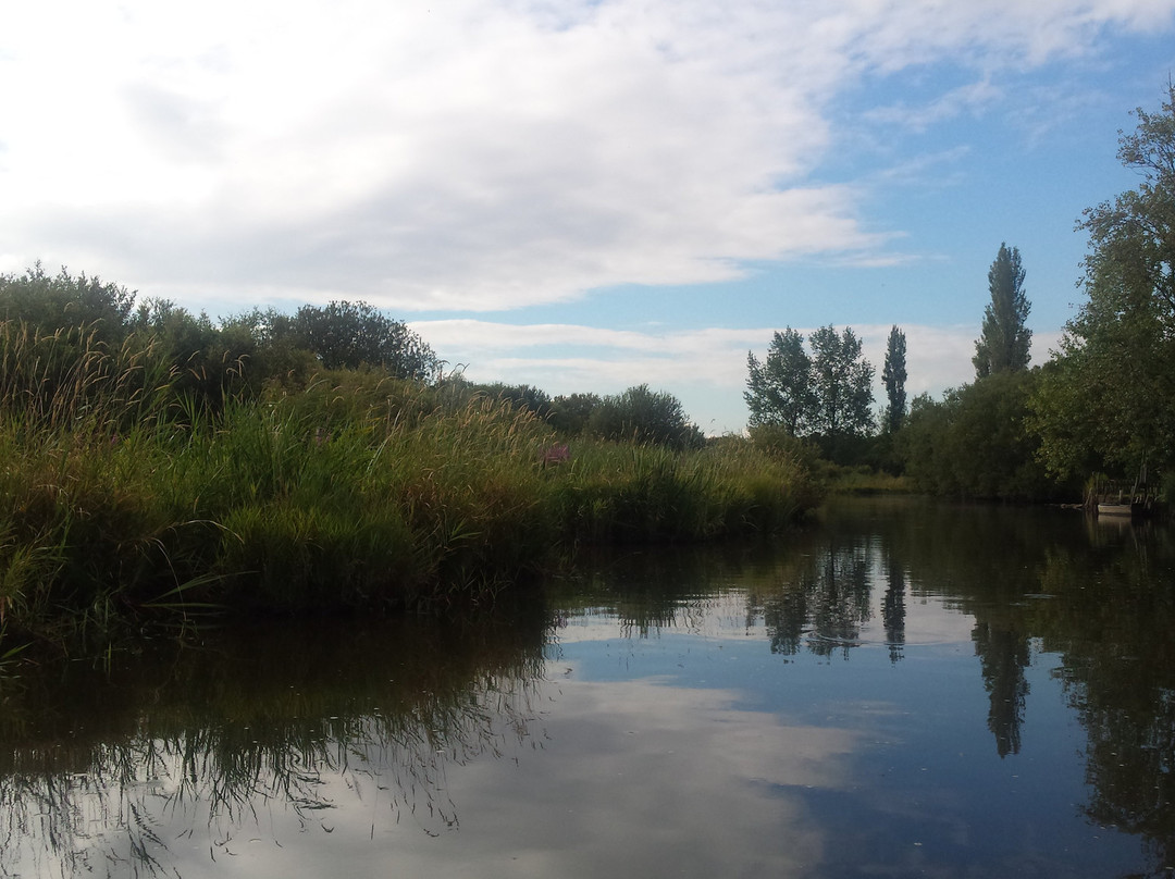 Réserve Naturelle Régionale Marais de Brière - Site Pierre Constant景点图片