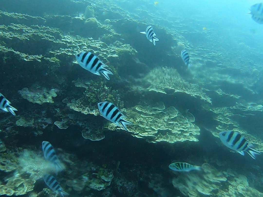 Guam Ocean Academy-Piti必去景点