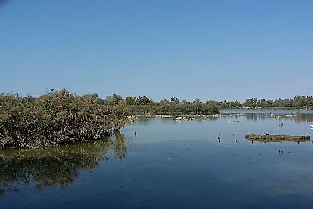 San Polo di Torrile旅游攻略图片