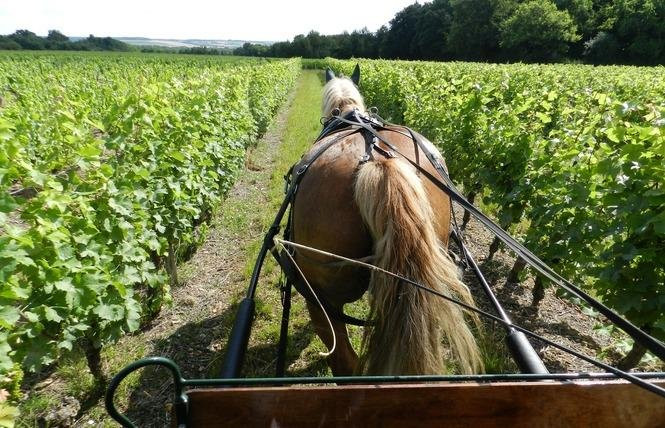 loirevalleystay-Thore-la-Rochette必去景点