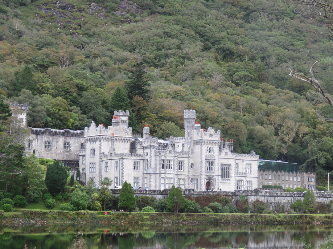 Wild Atlantic Adventures Ltd. - Day Tours景点图片