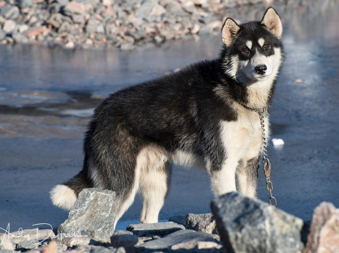 Kap Hope-Ittoqqortoormiit必去景点