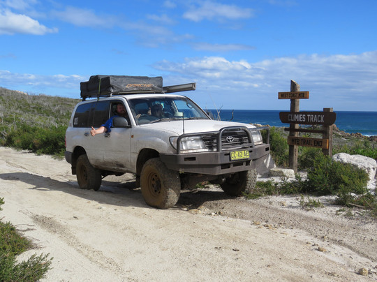 Tasmanian Offroad Adventures-朗塞斯顿必去景点