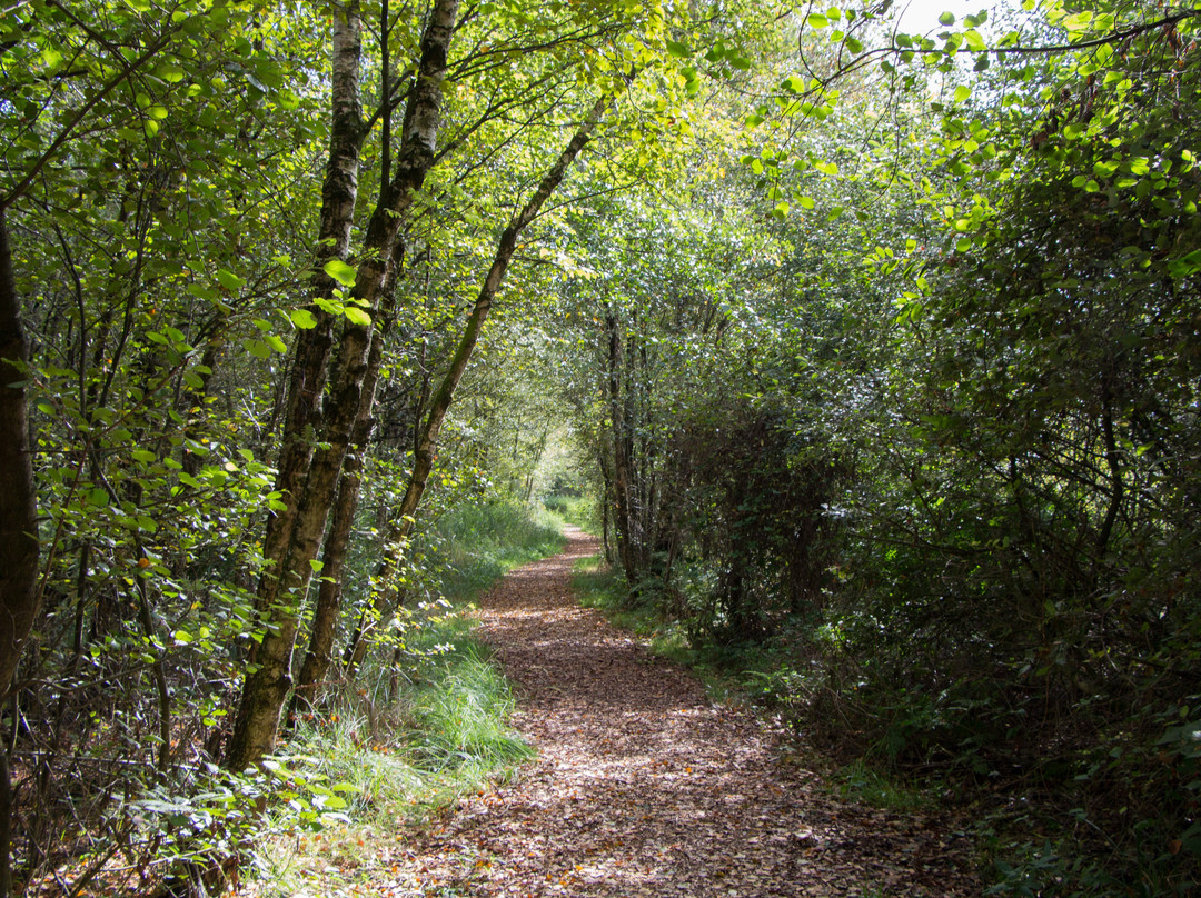 National Park De Alde Faenen景点图片