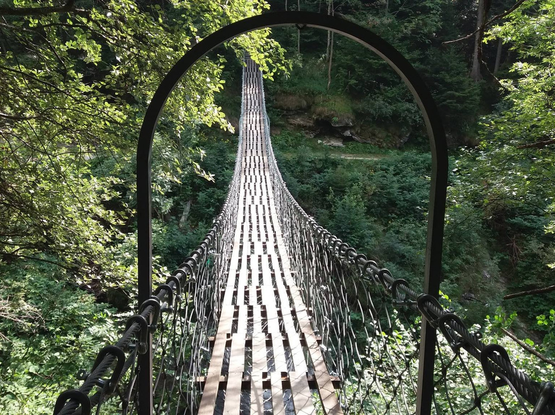 Ponte Tibetano di Becetto景点图片