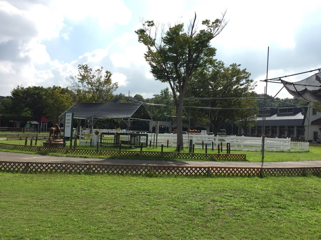 Miki Horseland Park-三木市必去景点