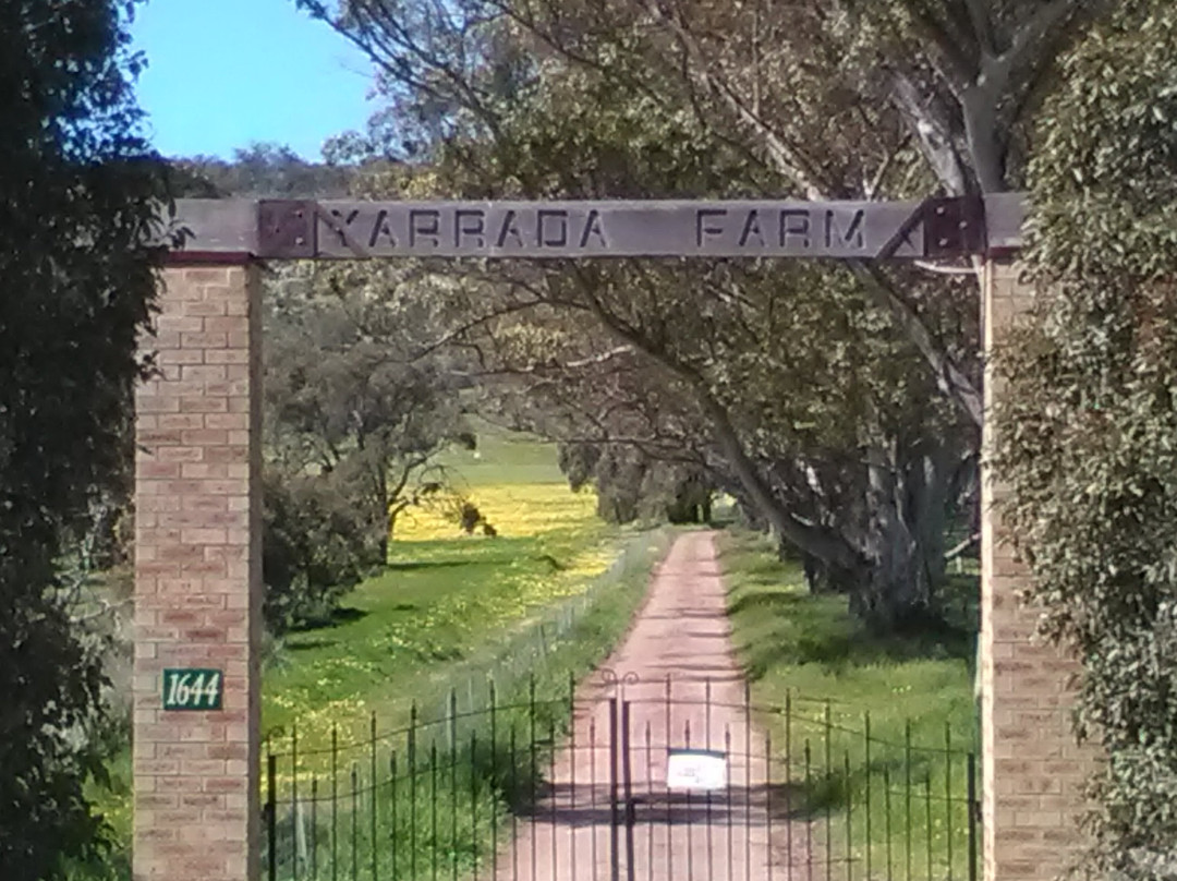 Yarrada Farm景点图片