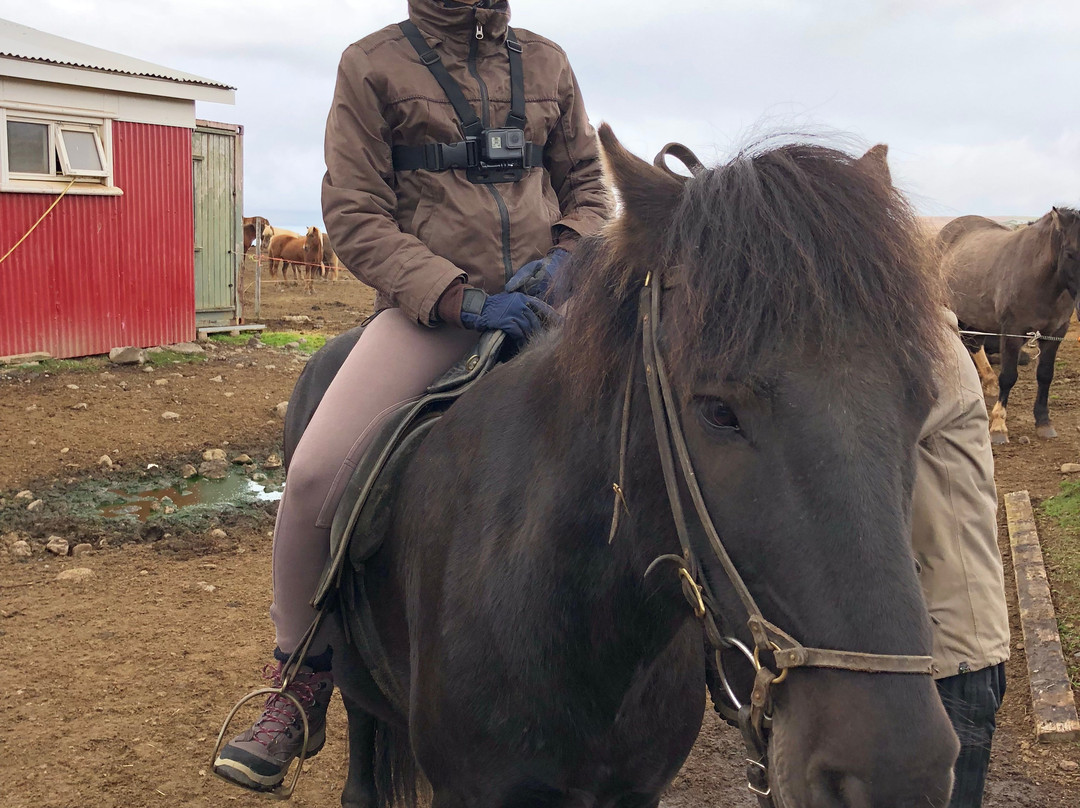 Iceland Horse Tours-Saudarkrokur必去景点