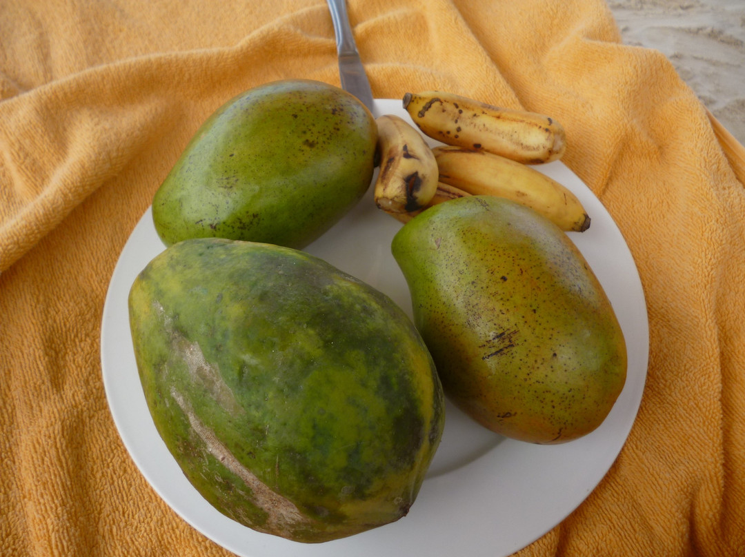 Casa Beach Hotel主图