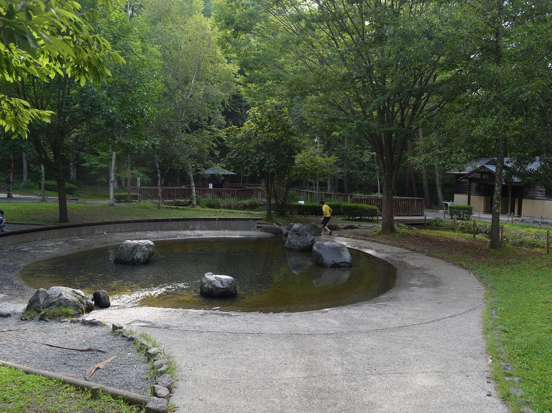 Sakana Park景点图片