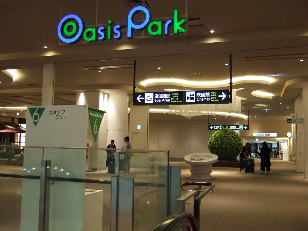 International Terminal Oasis Park景点图片