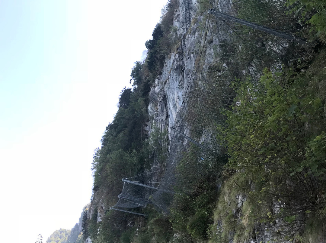 Hammetschwand Lift景点图片