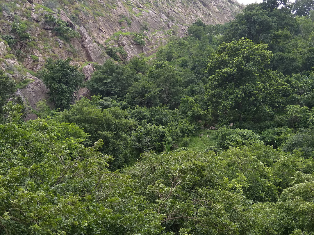 Jambughoda Wildlife Sanctuary景点图片