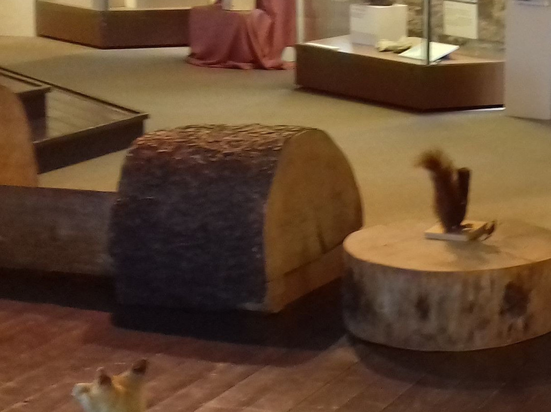 Musikantenlandmuseum-Kusel必去景点