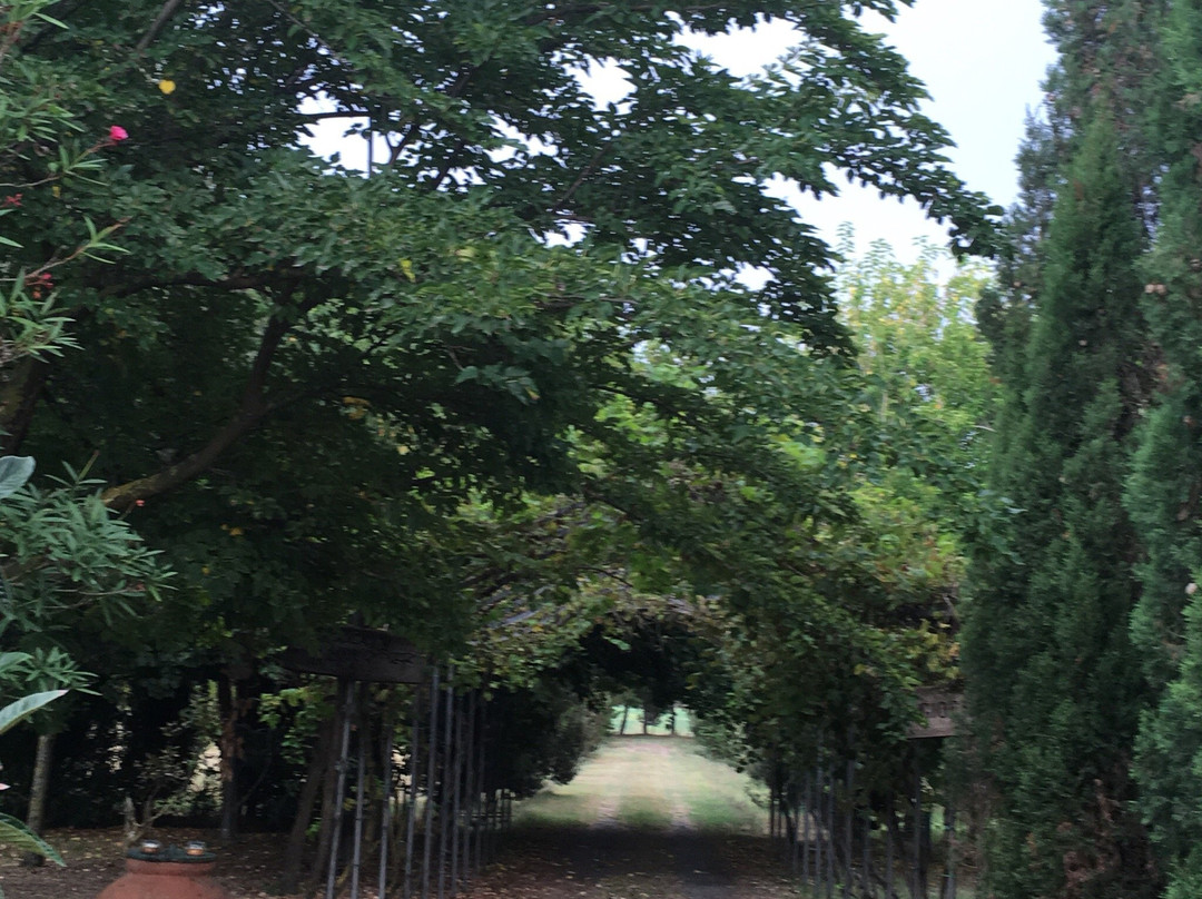 Agriturismo Le Biricoccole主图