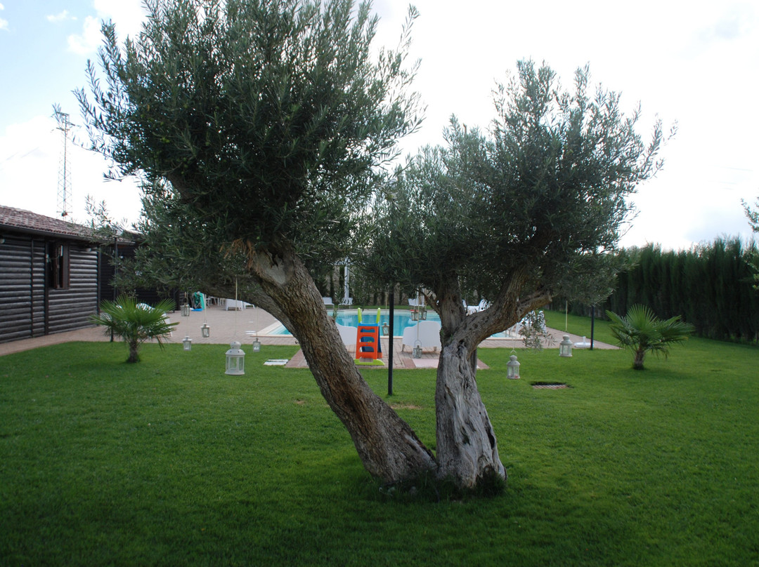 Agriturismo Paparanza主图