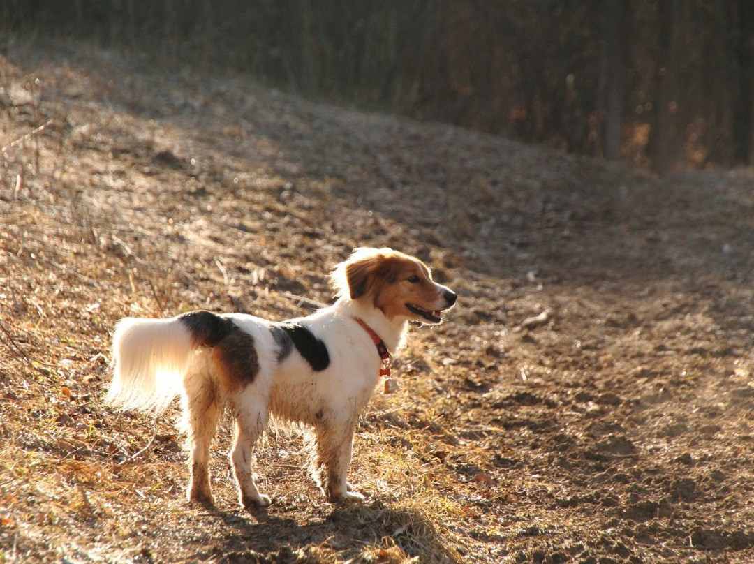 Bronte Creek Provincial Park景点图片