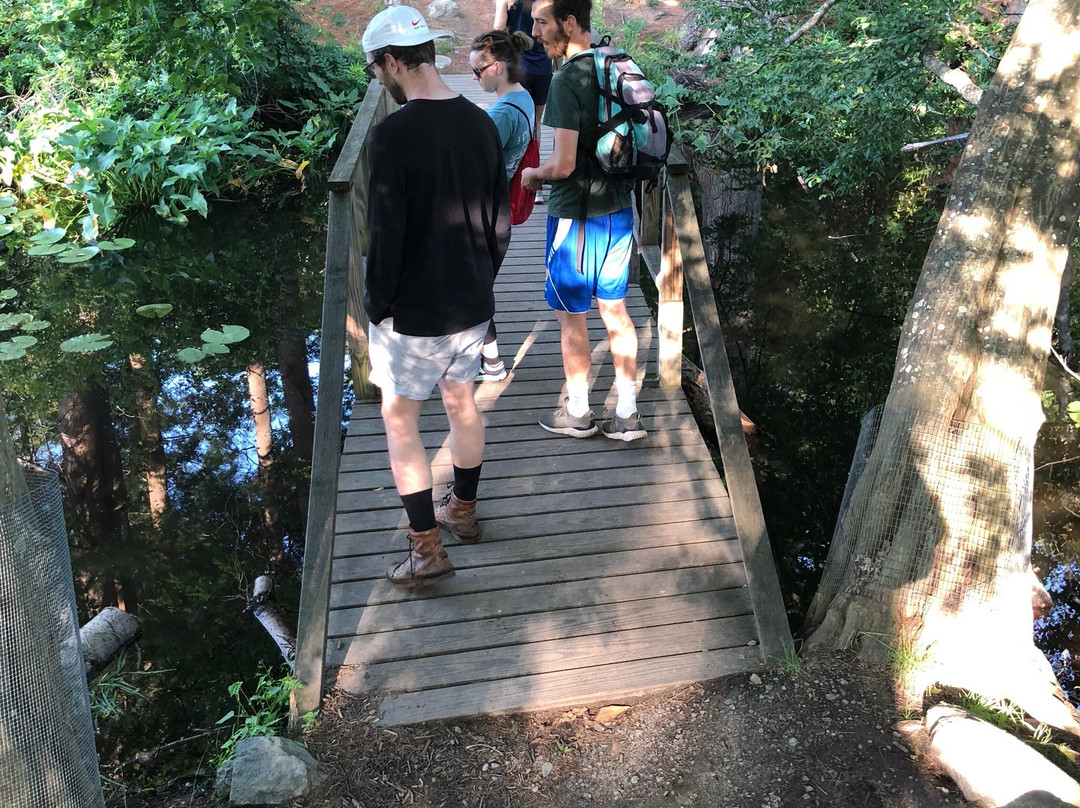 Mass Audubon Ipswich River Wildlife Sanctuary-Topsfield必去景点
