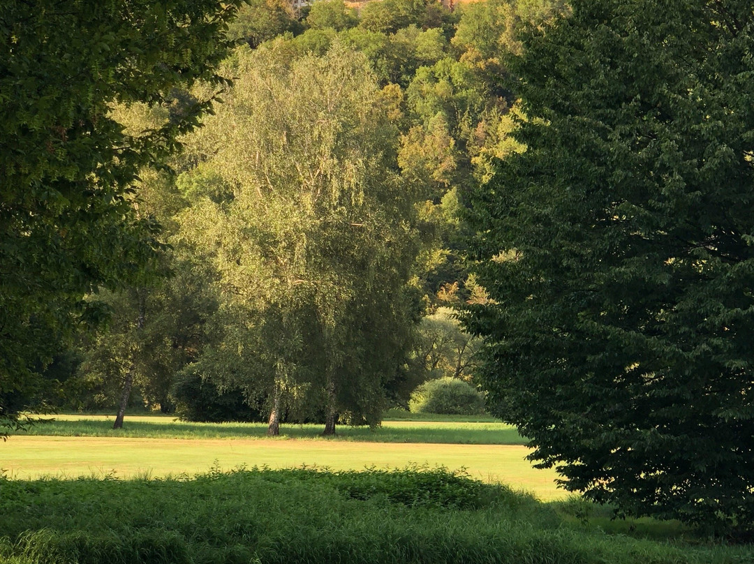 Golfclub Schloss Weitenburg景点图片