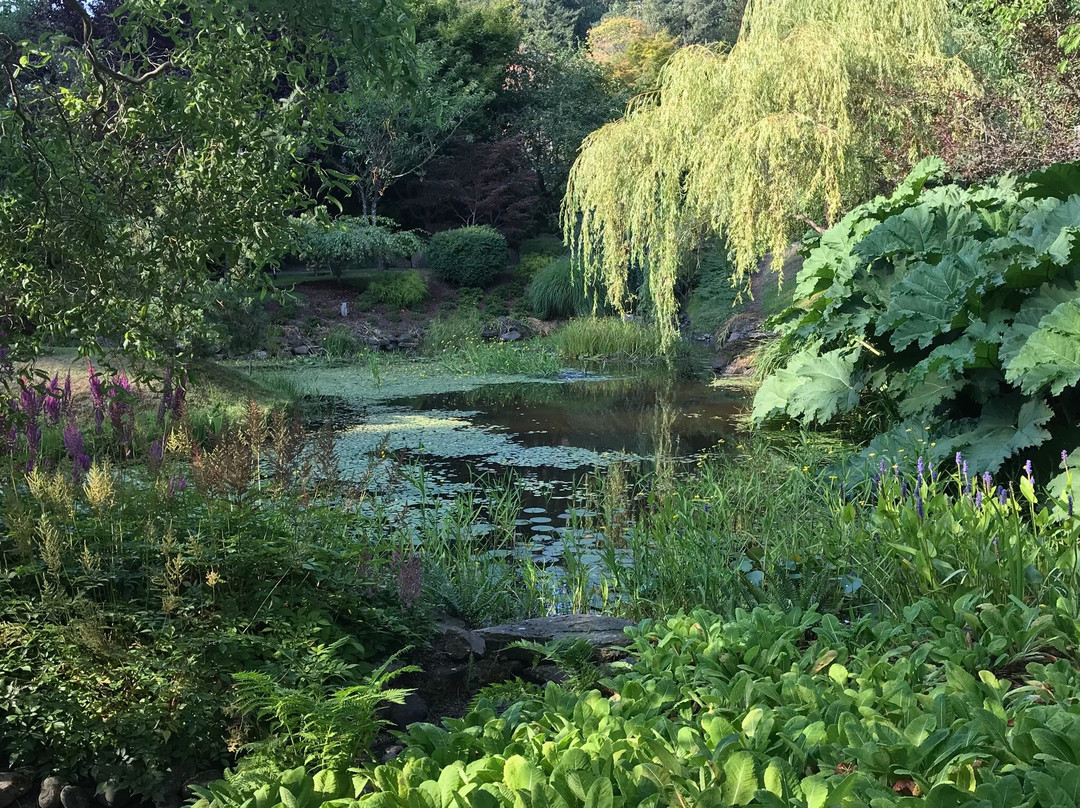 Mayne Island旅游攻略图片