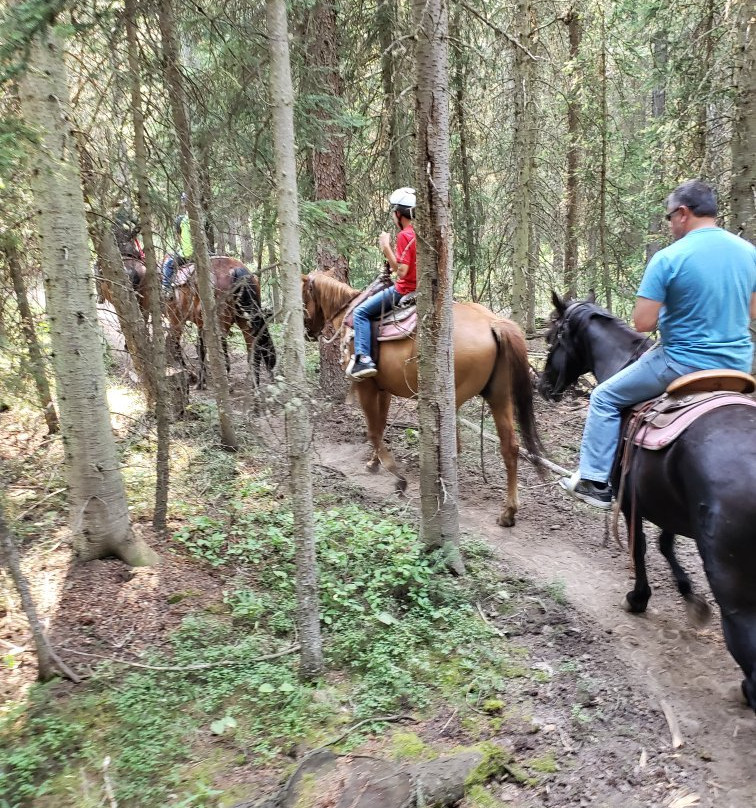 Creekside Trail Rides-西黄石镇必去景点