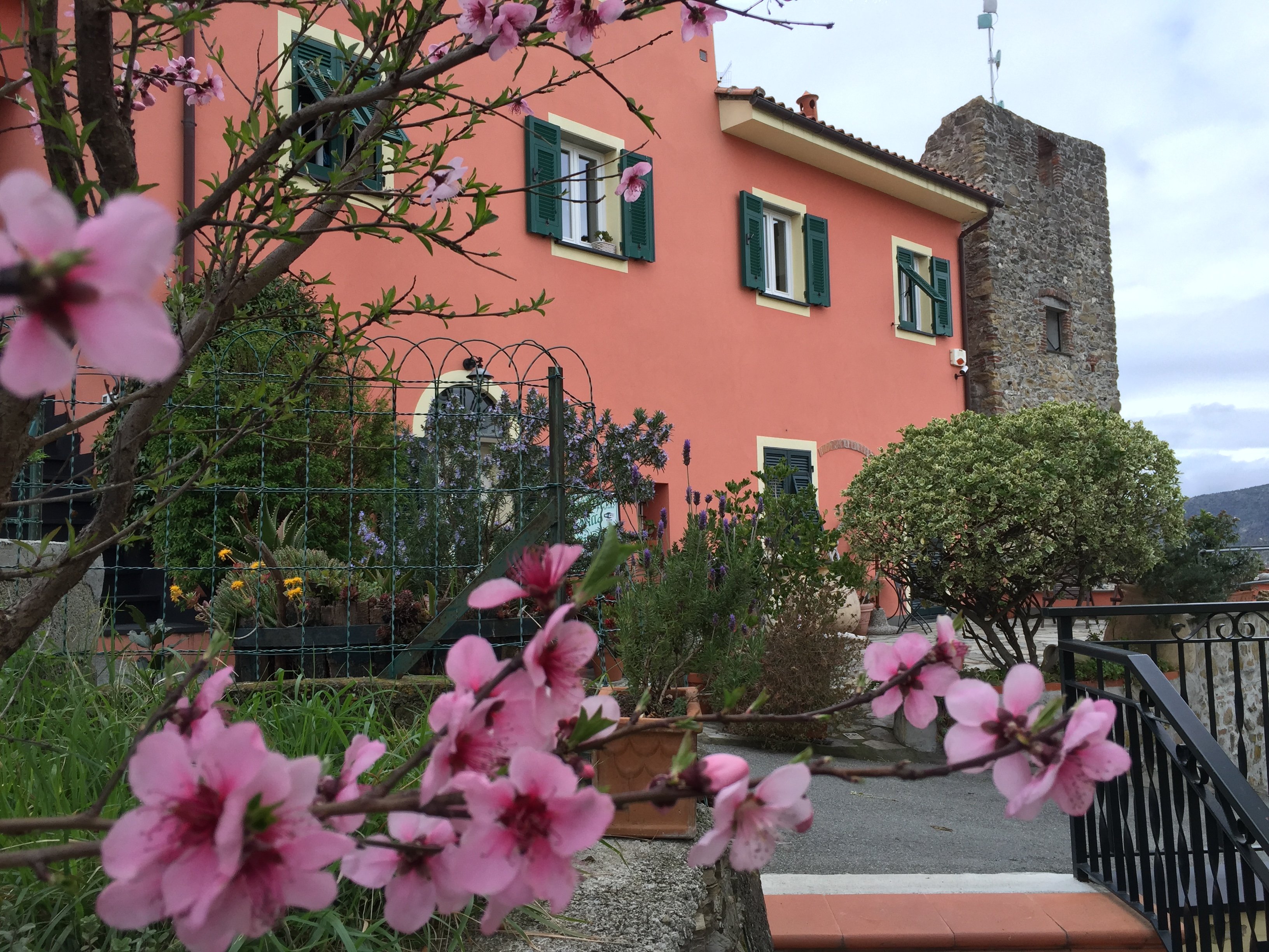 B&B Villa Ginestra-官方