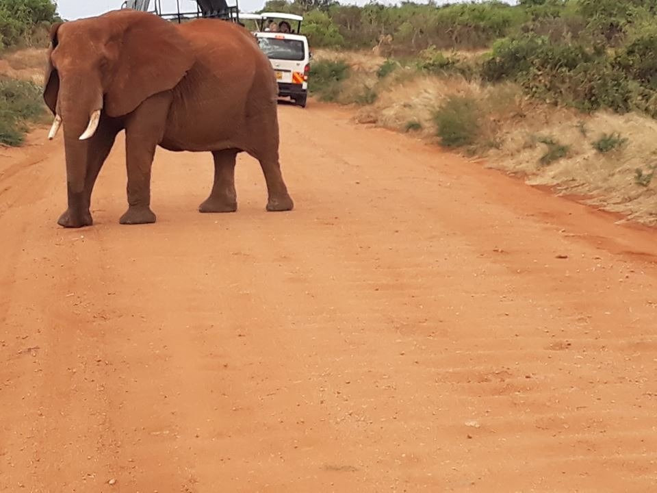 Pathway Safaris-马林地必去景点