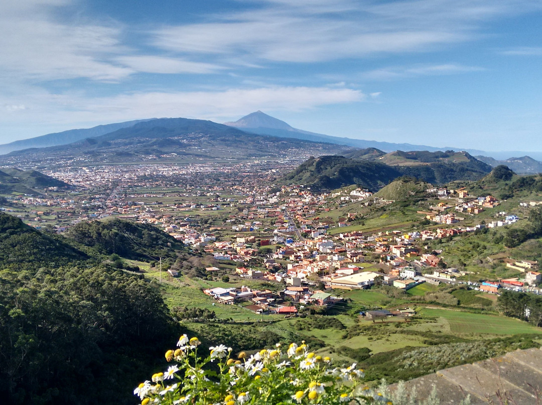 Canarias Nature Guides景点图片