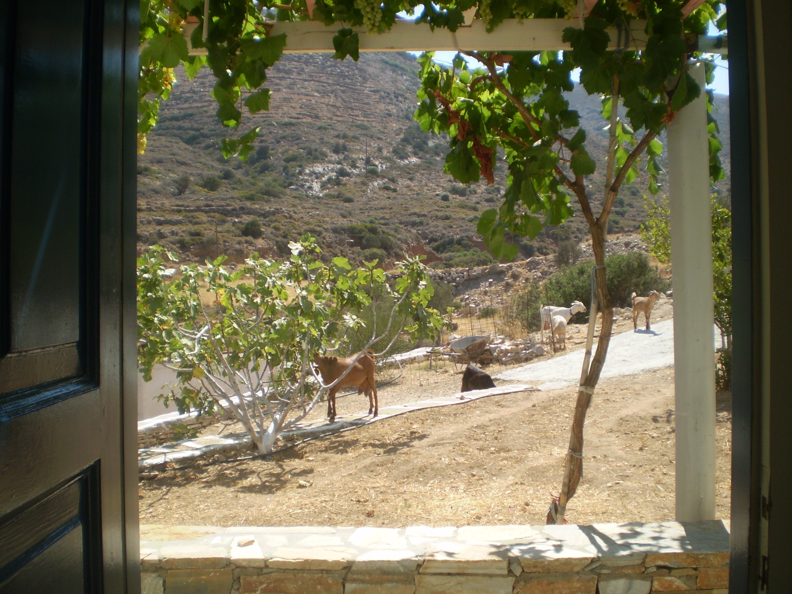 Koukos Pension-浴室