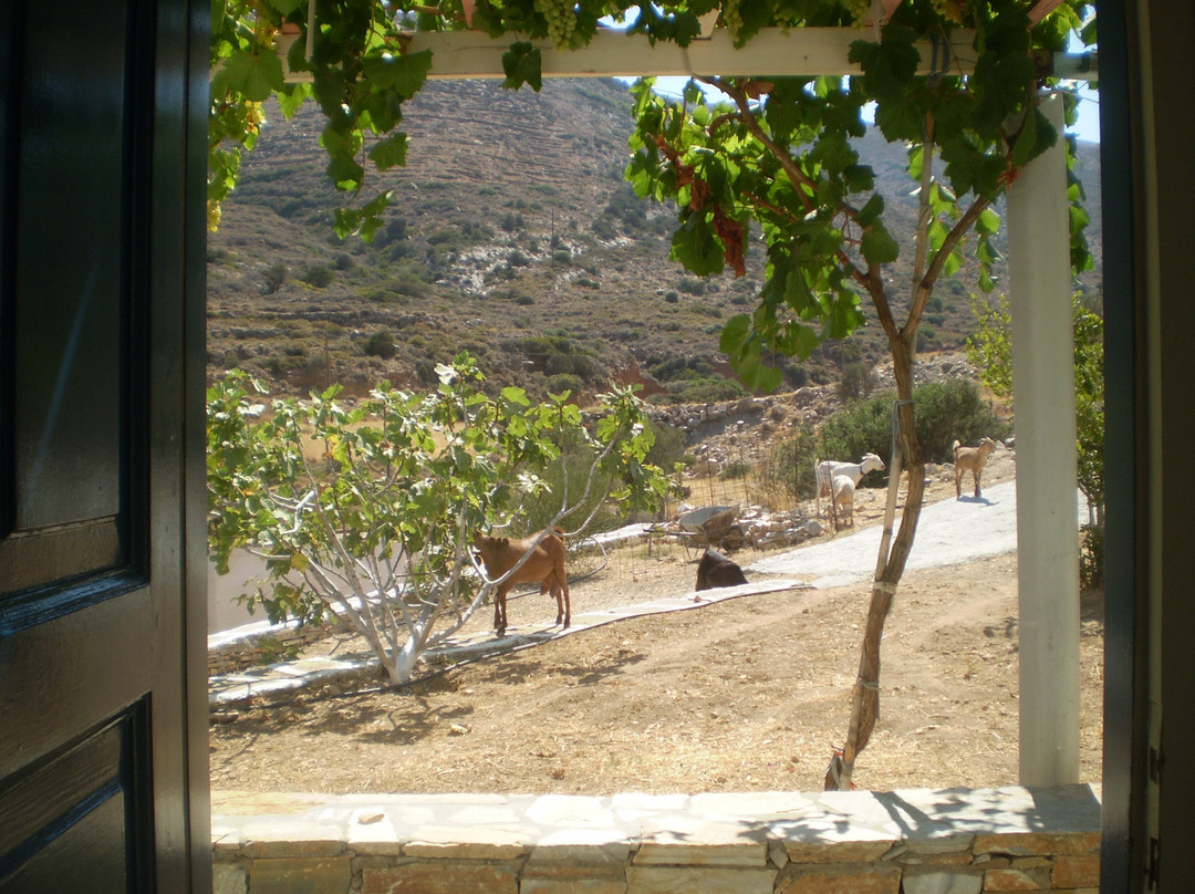 Agia Theodoti酒店住宿-Koukos Pension