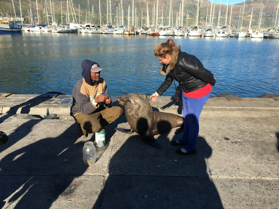 PG Tops Travel and Tours - Day Tours-开普敦中心区必去景点