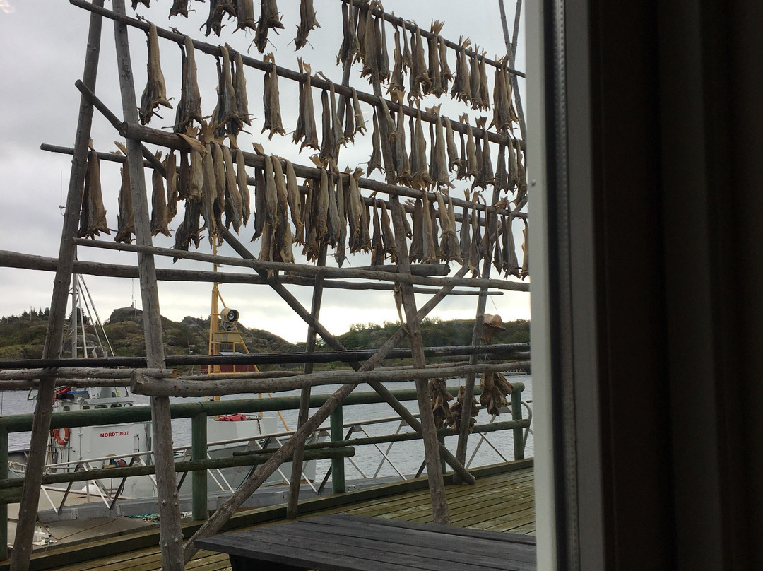Live Lofoten Hotel主图
