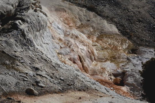 Terrace Mountain-黄石国家公园必去景点