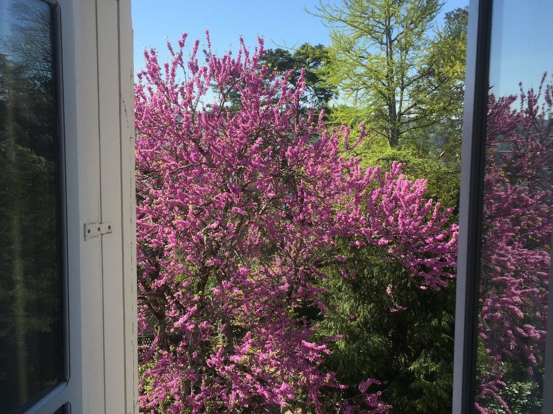 Chambres d'Hotes Couleurs du Temps主图