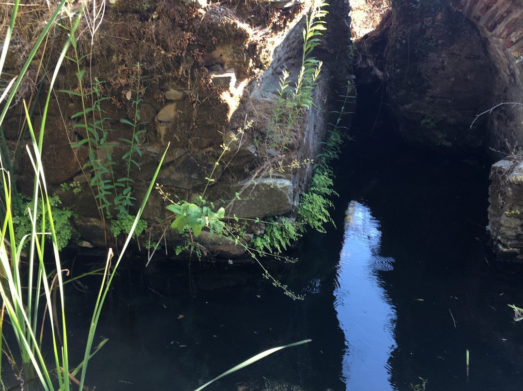 Barragem do Pego da Moura景点图片