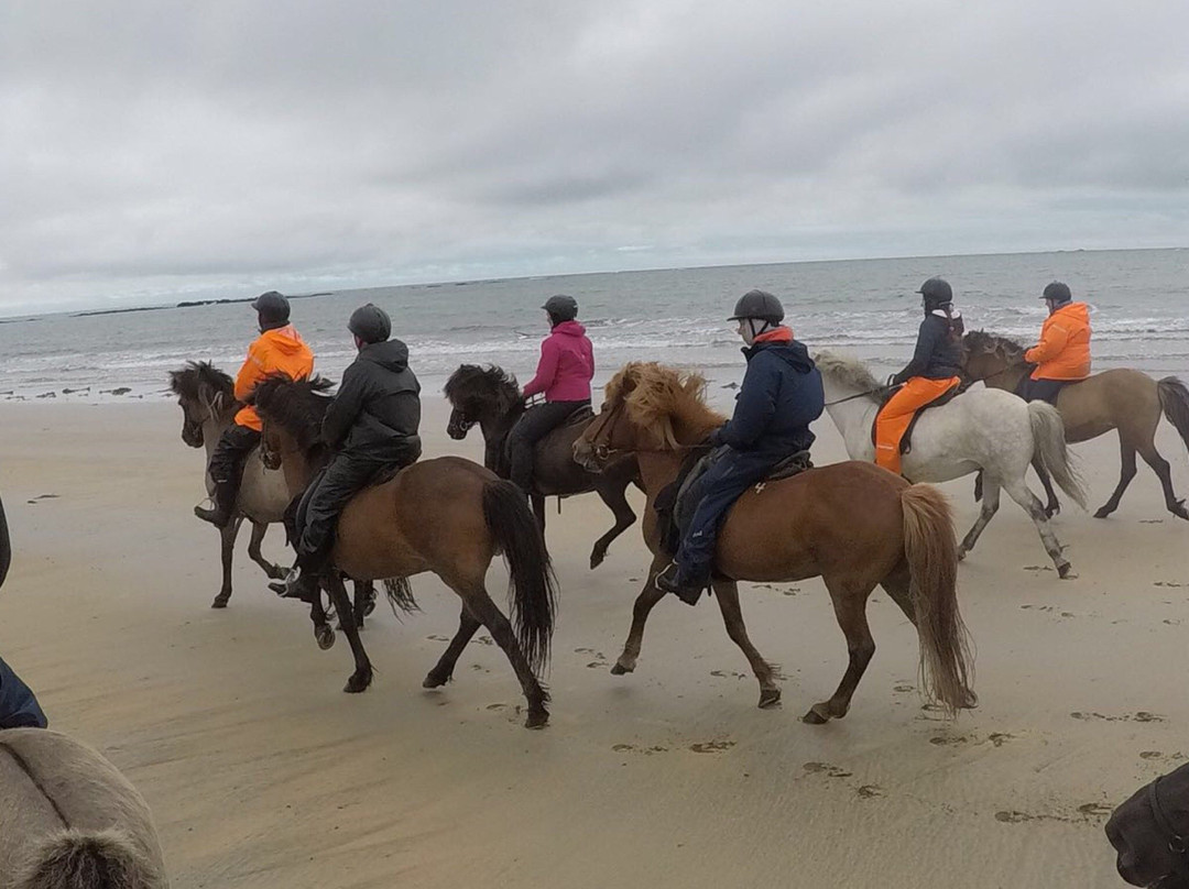 Gröf Horseback Riding Iceland & The Holy Ram Lodge-Arnarstapi必去景点