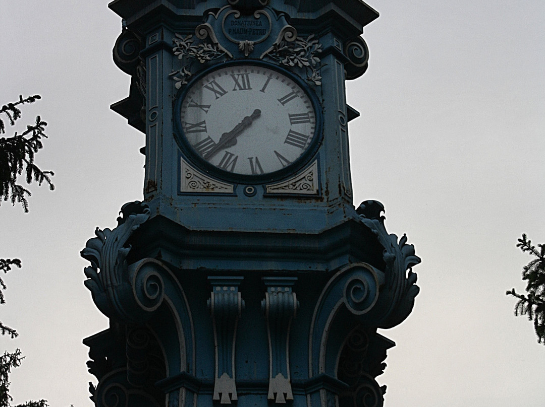 The Public Clock景点图片