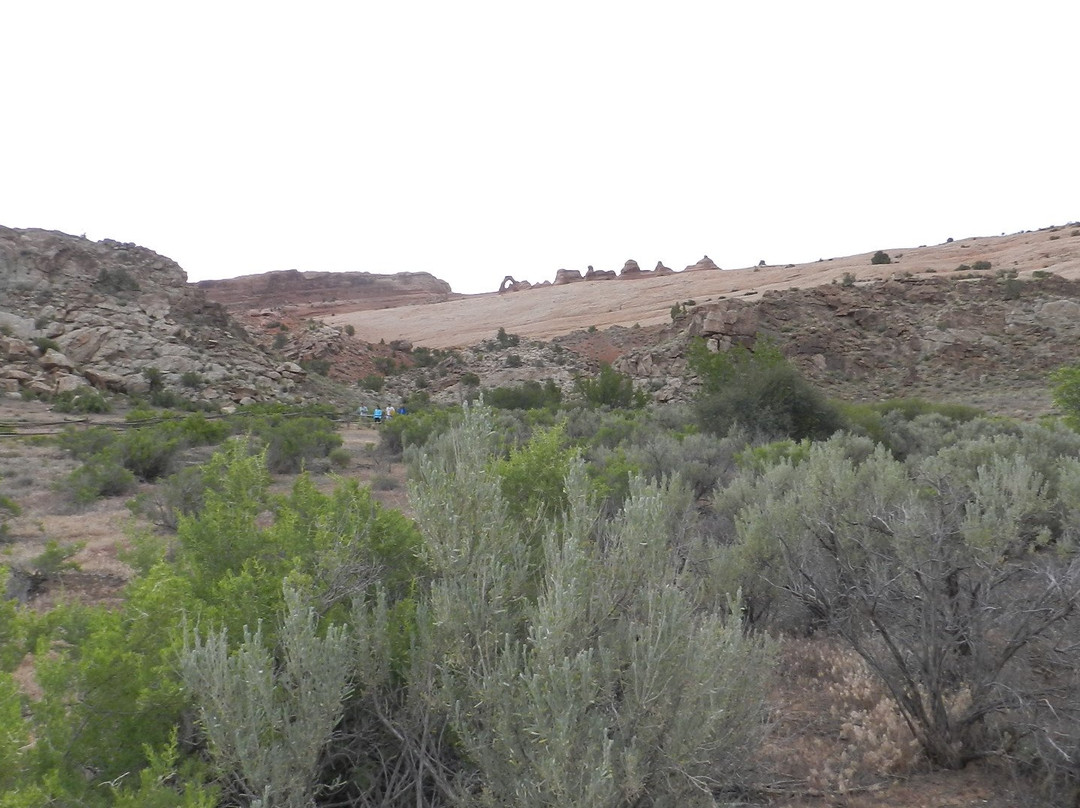 Lower Delicate Arch Viewpoint-拱门国家公园必去景点