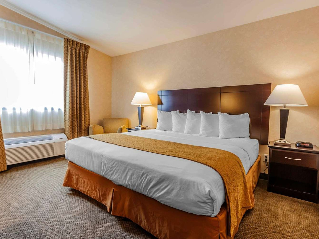 阿灵顿品质酒店主图